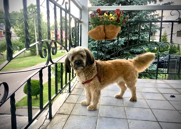 Pensjonat Papli 2 3*